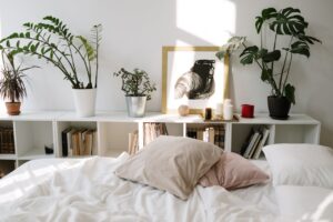 Cozy bedroom scene featuring plants, artwork, and pillows on a sunlit bed, perfect for tranquil living concepts.